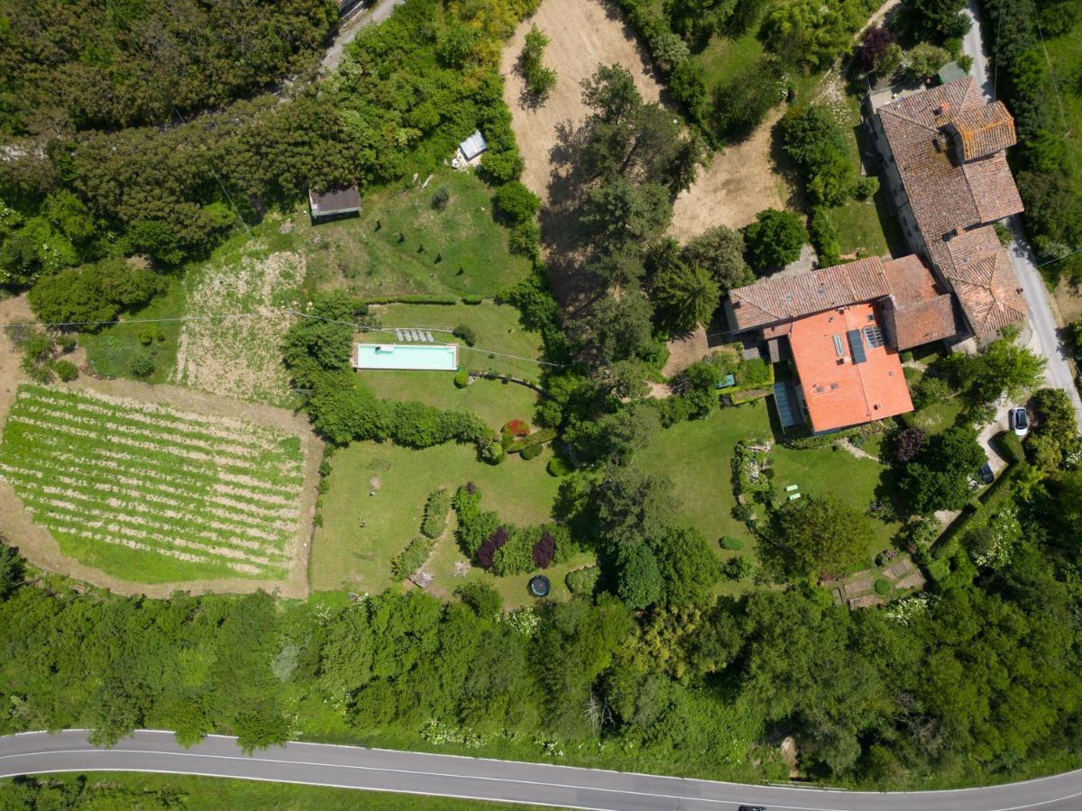 Casa Palmira - La Casina Villa Polcanto Exterior photo